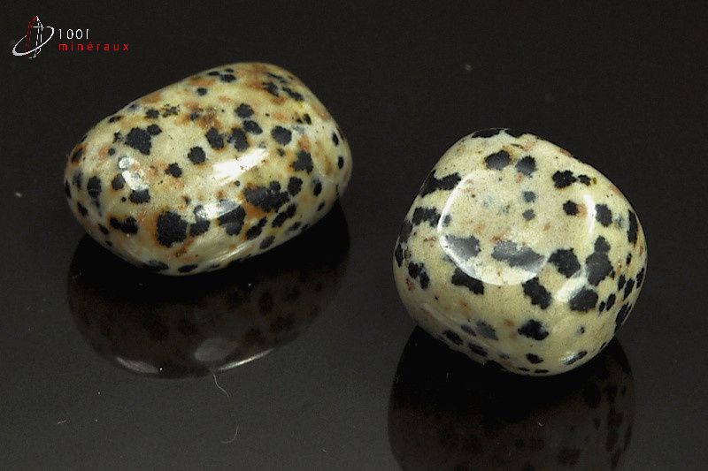 Lot de 2 Jaspes dalmatiens polis - Mexique - pierres roulées 2.2 - 2.6 cm / 23 g / AT30