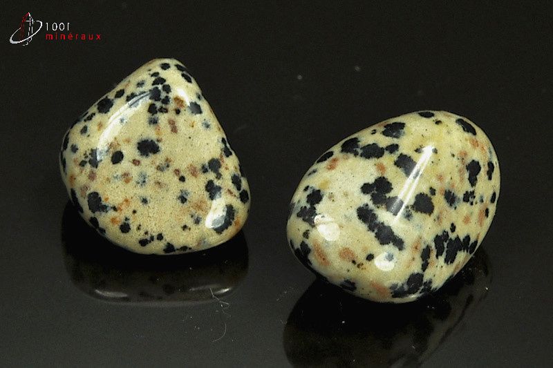 Lot de 2 Jaspes dalmatiens polis - Mexique - pierres roulées 2.4 - 2.7 cm / 21 g / AT31