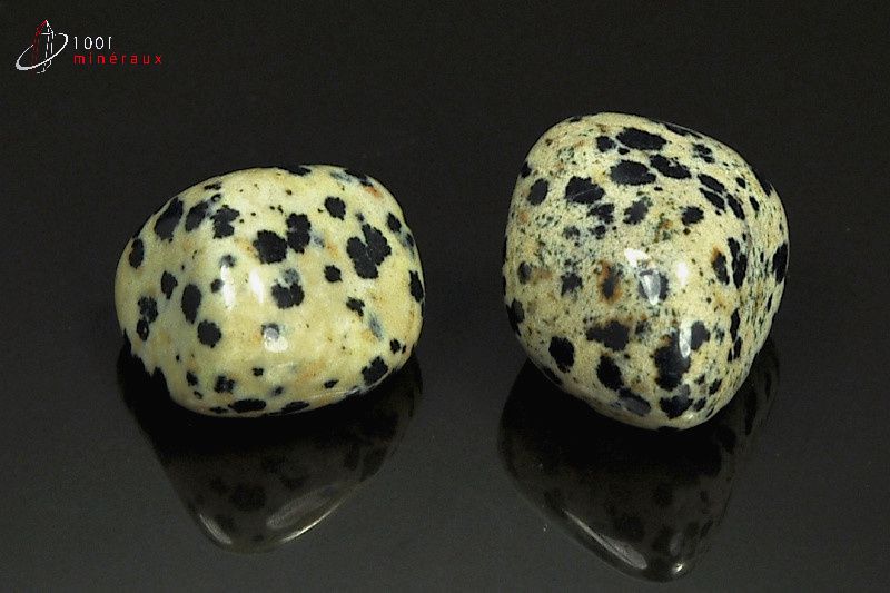Lot de 2 Jaspes dalmatiens polis - Mexique - pierres roulées 2.3 - 2.4 cm / 19 g / AT32