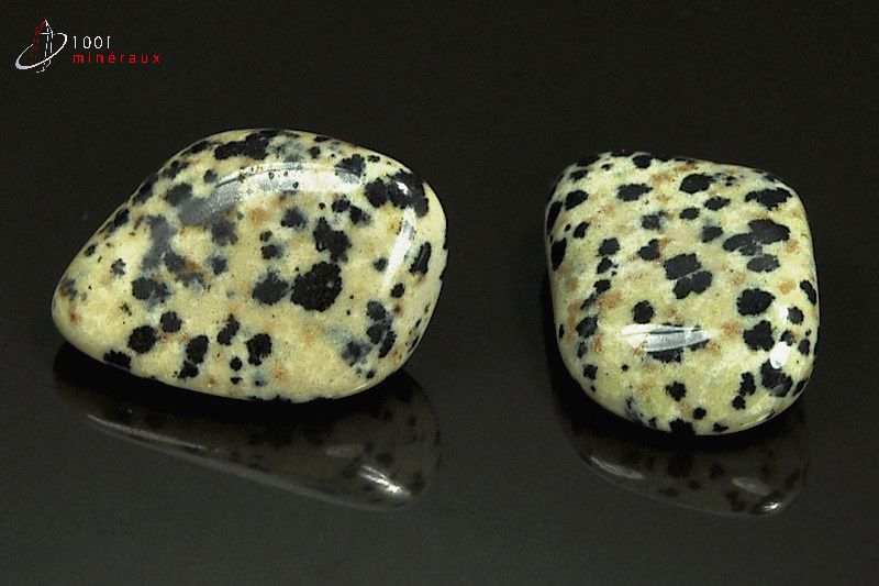 Lot de 2 Jaspes dalmatiens polis - Mexique - pierres roulées 2.8 - 2.9 cm / 17 g / AT34