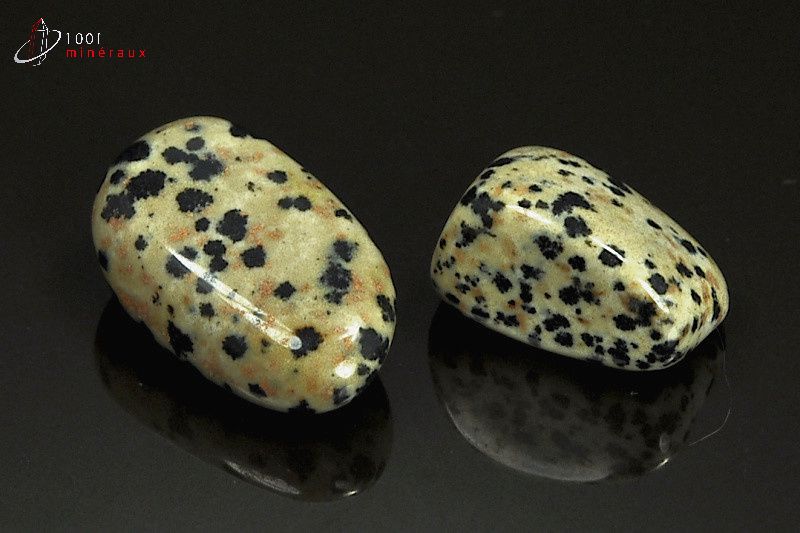 Lot de 2 Jaspes dalmatiens polis - Mexique - pierres roulées 2.3 - 3.1 cm / 17 g / AT35