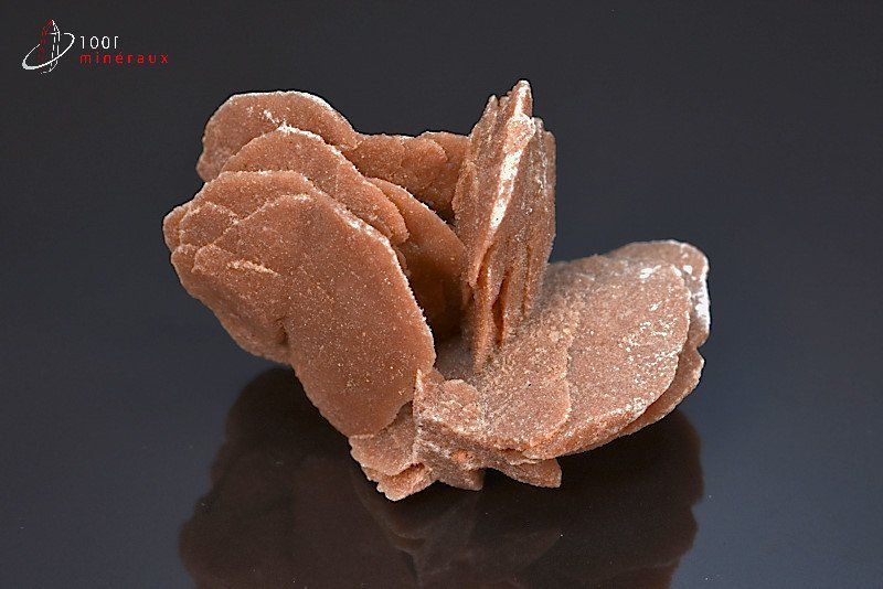 Rose des sables - Algérie - minéraux à cristaux 6.9 cm / 85g / AT717