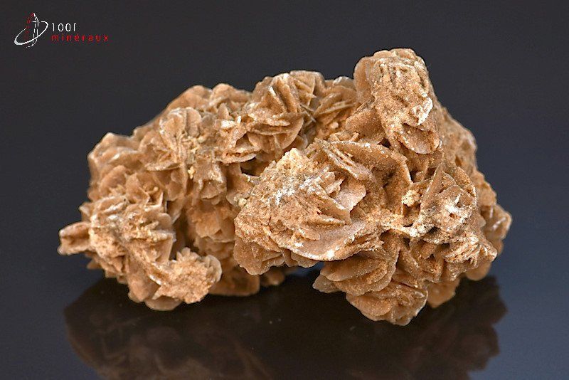 Rose des sables - Algérie - minéraux à cristaux 8.4 cm / 146g / AT719