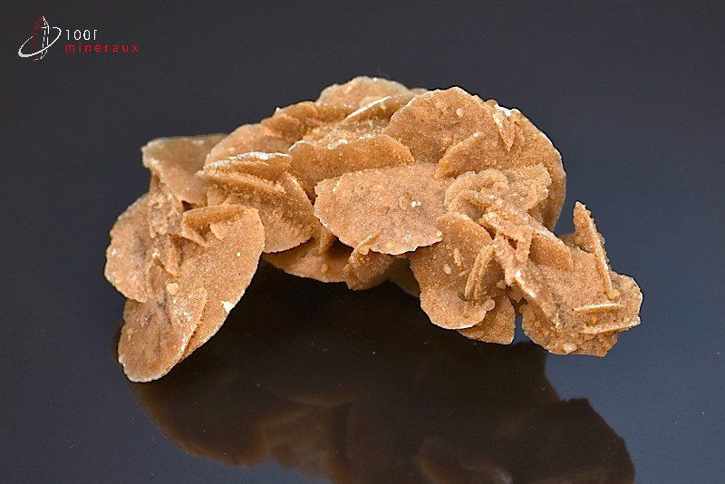 Rose des sables - Algérie - minéraux à cristaux 7.5 cm / 49g / AT720