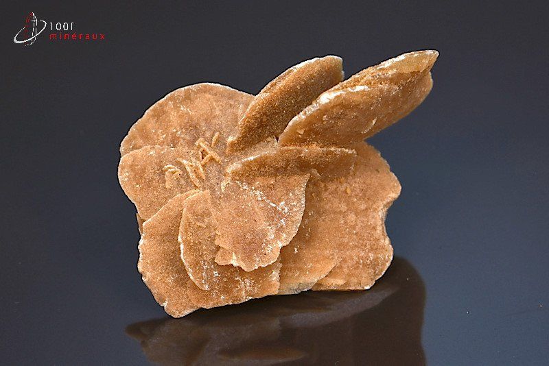Rose des sables - Algérie - minéraux à cristaux 6.4 cm / 56g / AT721