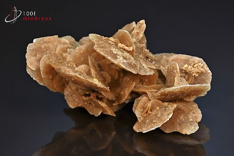 Rose des sables - Algérie - minéraux à cristaux 12,8 cm / 267g / AT725