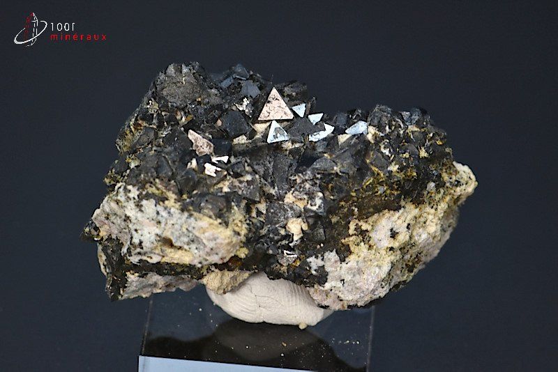 Magnétite cristallisée - Maroc - minéraux à cristaux 4,9 cm / 58g / AV711