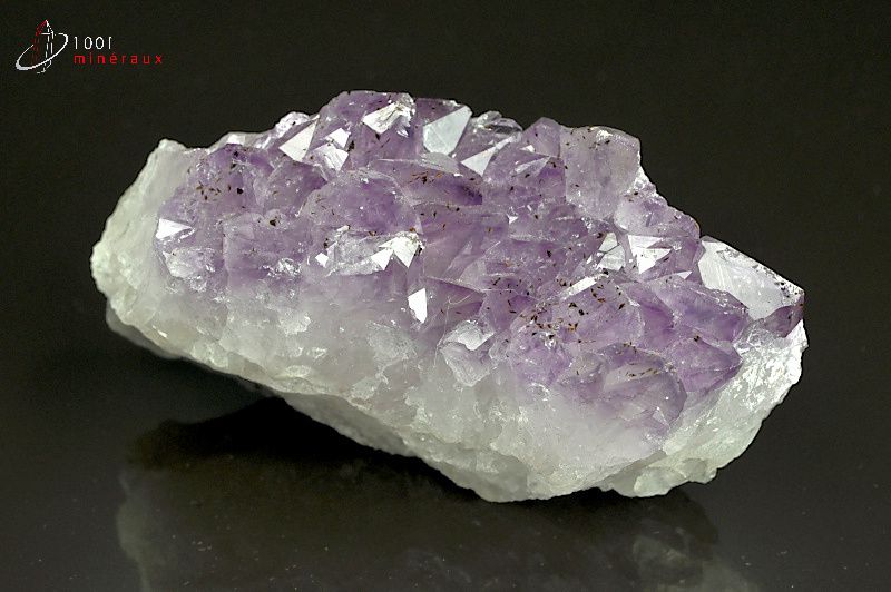 Améthyste - Brésil - minéraux à cristaux 10,4 cm / 386g / AW637