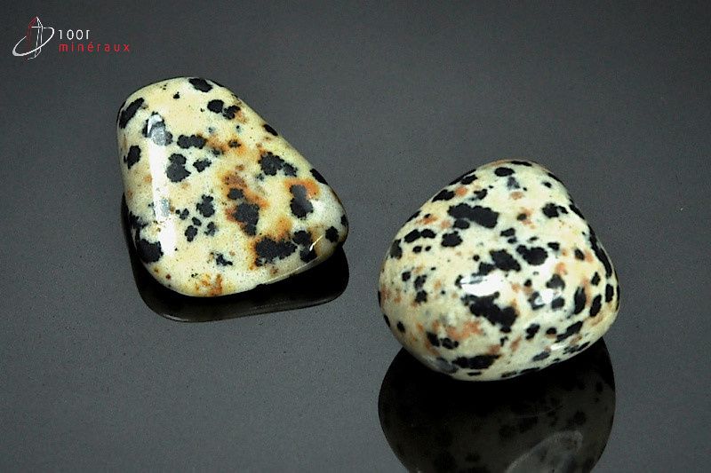 Lot de  2 Jaspes dalmatiens polis - Mexique - pierres roulées 2.3 - 2.5 cm / 18g / AW722