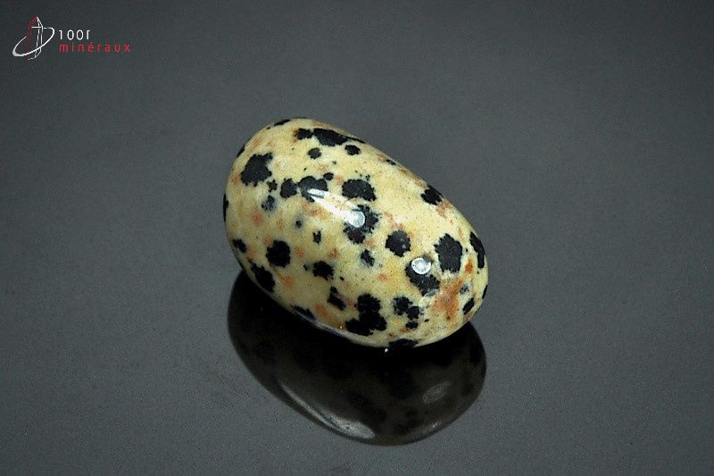Jaspe dalmatien poli - Mexique - pierres roulées 2.6 cm / 10g / AW731