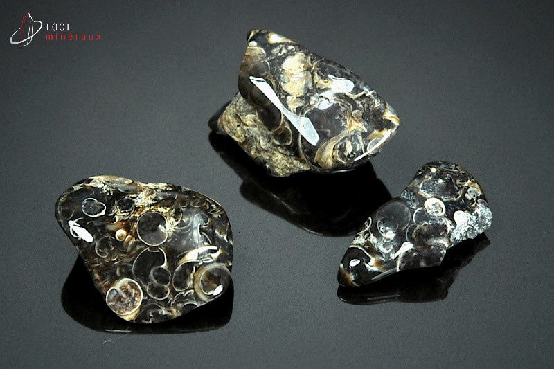Lot de 3 Agates turritelles - Brésil - pierres polies 2.6 - 2.7 cm / 16g / AW772