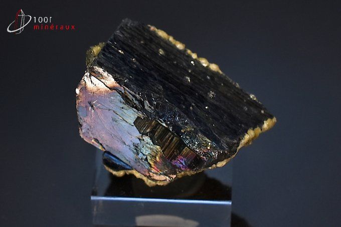 wolframite et cristaux d'apatite