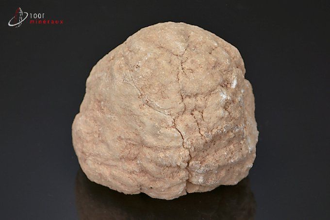 geode-quartz-mineraux-cristaux
