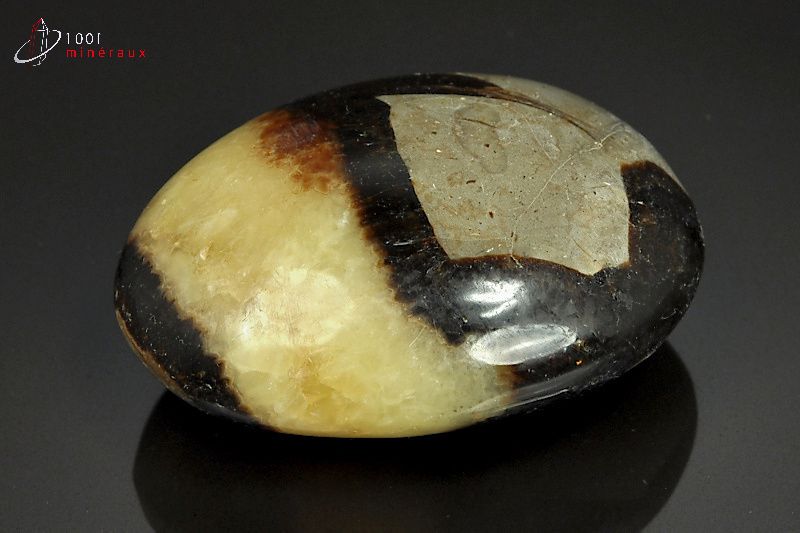 Septaria polie galet - Madagascar - pierres roulées 6,1 cm / 104g / AX257