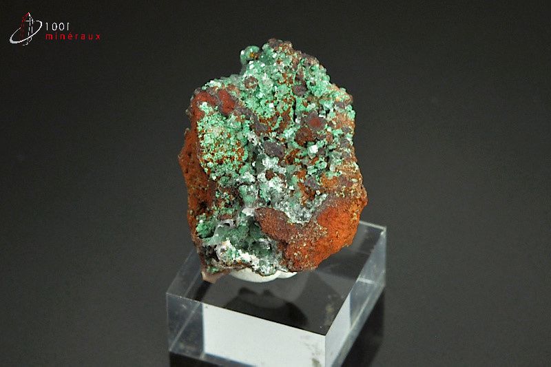 Rosasite - Mexique - minéraux à cristaux 2,6 cm / 11 g / AX716