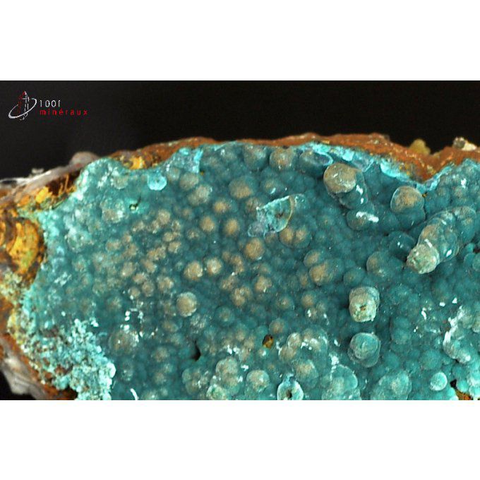 rosasite-mineraux-mexique