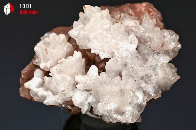 Aragonite cristallisée - Maroc - minéraux à cristaux 6,3 cm / 153g / AX885