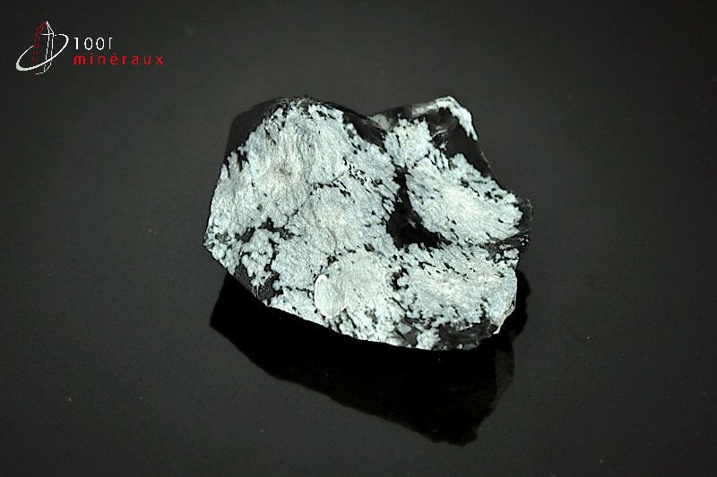 Obsidienne flocons de neige - Mexique - minéraux bruts 4,5cm / 29g / AX991