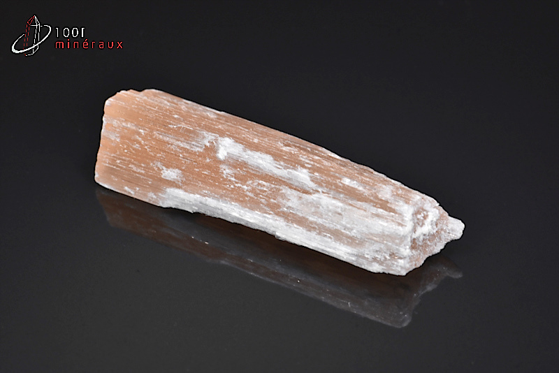 Gypse fibreux ou Sélénite - Maroc - Minéraux bruts 5,6 cm / 18 g / AY118