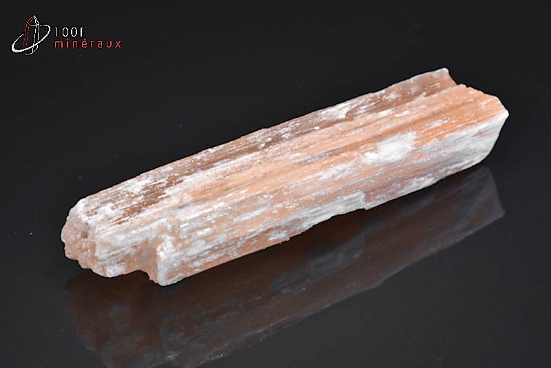 Gypse fibreux ou Sélénite - Maroc - Minéraux bruts 7,1 cm / 29 g / AY119
