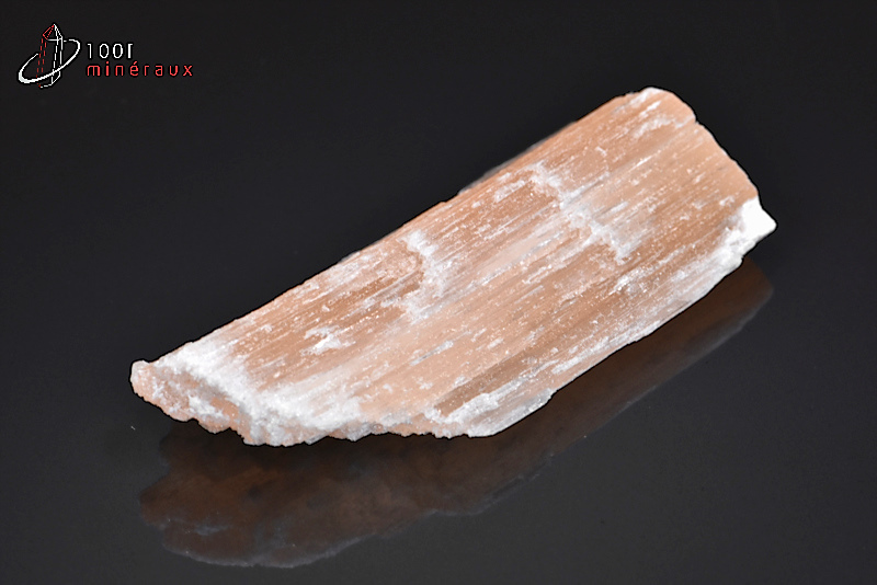 Gypse fibreux ou Sélénite - Maroc - Minéraux bruts 6,6 cm / 33 g / AY120