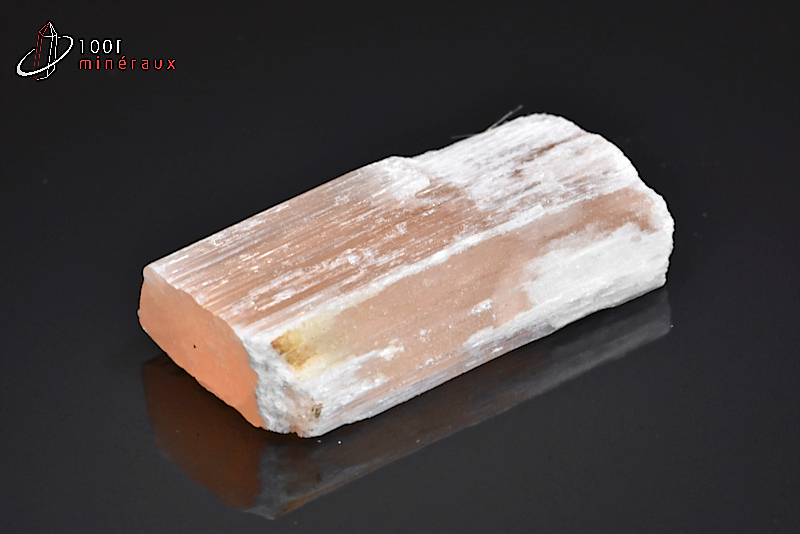 Gypse fibreux ou Sélénite - Maroc - Minéraux bruts 5,4 cm / 34 g / AY127