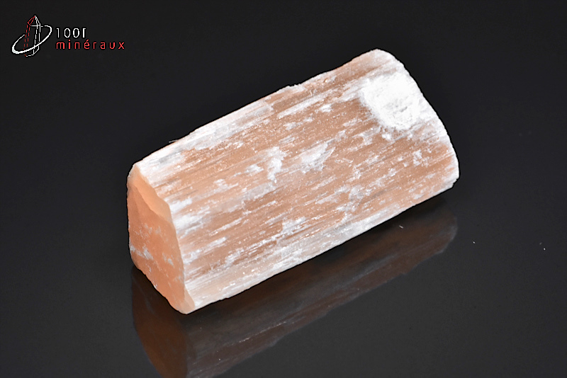 Gypse fibreux ou Sélénite - Maroc - Minéraux bruts 4,9 cm / 35 g / AY128