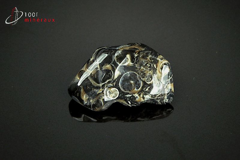 Agate turritelles - Brésil - pierres polies 2,8 cm / 11g / AY542