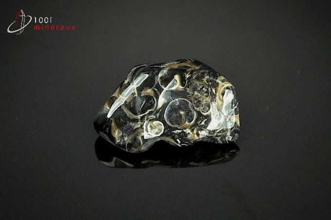 agate-turritelles-pierre