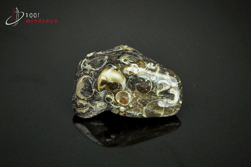 Agate turritelles - Brésil - pierres polies 3,2cm / 12g / AY545
