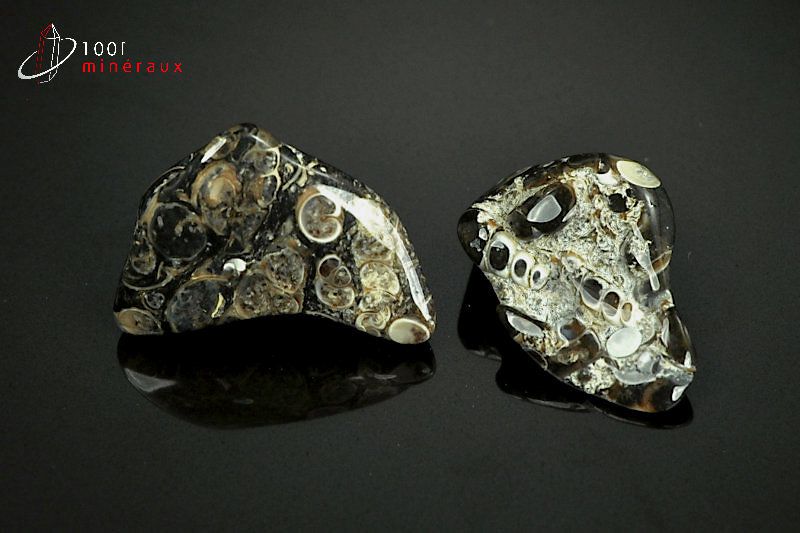 Lot de 2 Agates turritelles - Brésil - pierres polies 3cm / 16g / AY547
