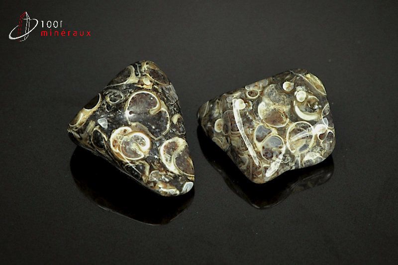 Lot de 2 Agates turritelles - Brésil - pierres polies 2,6cm / 14g / AY548