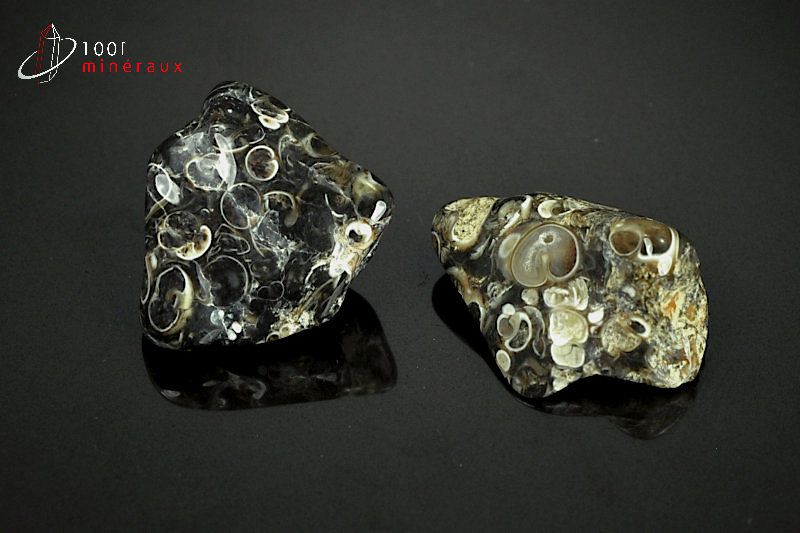 Lot de 2 Agates turritelles - Brésil - pierres polies 2,6cm / 18g / AY549