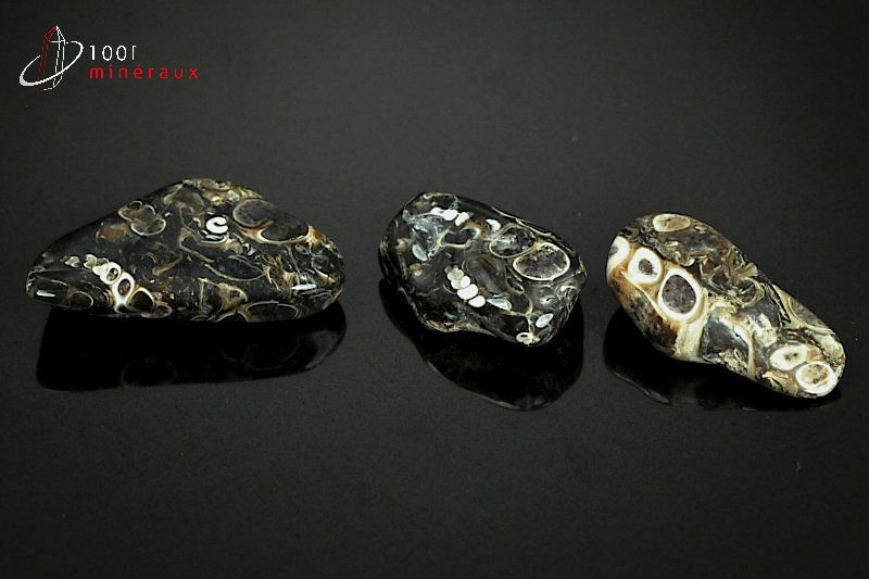 Lot de 3 Agates turritelles - Brésil - pierres polies 3,1 cm / 13g / AY550