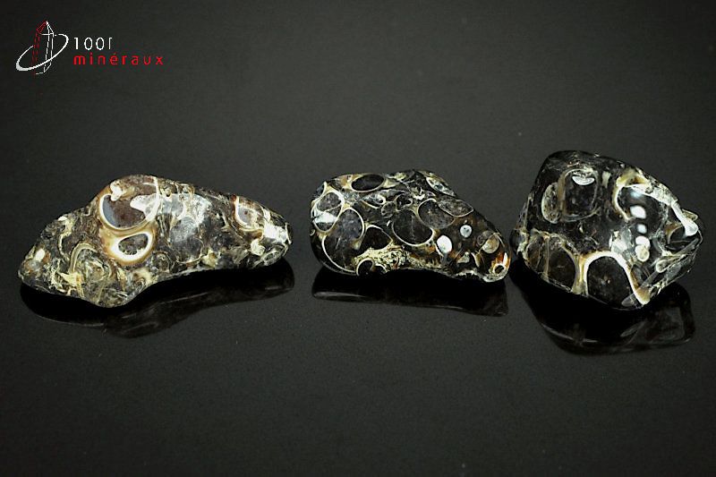 Lot de 3 Agates turritelles - Brésil - pierres polies 3,2cm / 13g / AY553