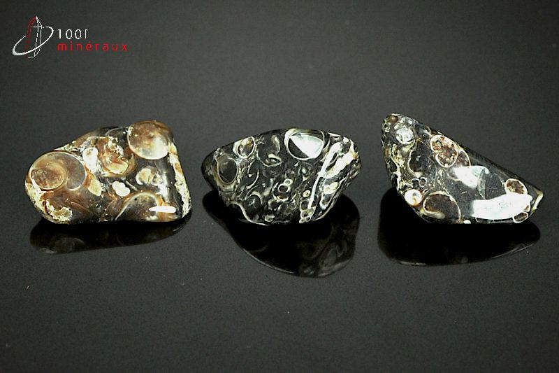 Lot de 3 Agates turritelles - Brésil - pierres polies 2,4cm / 12g / AY555