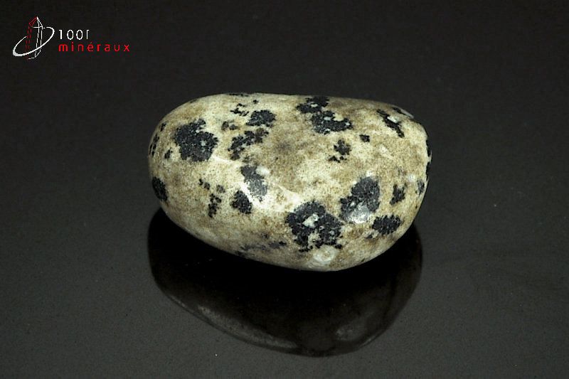 Jaspe dalmatien poli - Mexique - pierres roulées 3,2cm / 17g / AY839