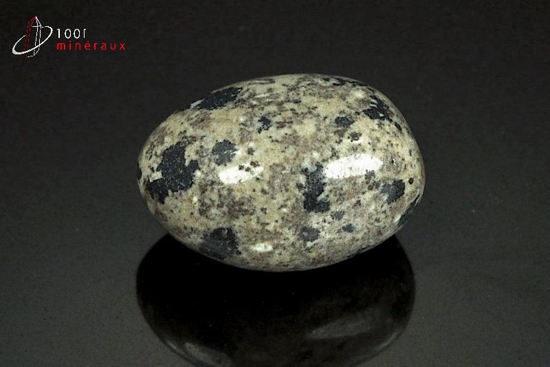 Jaspe dalmatien poli - Mexique - pierres roulées 3,2cm / 24g / AY840