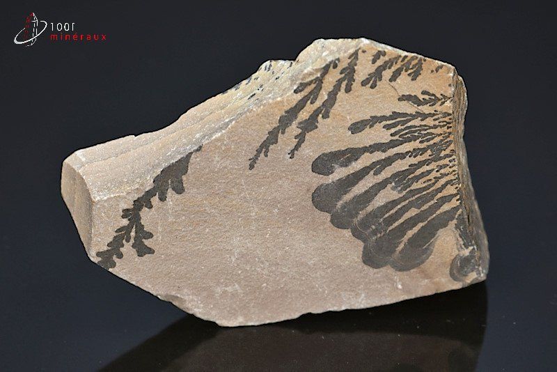 Tranche de Jaspe manganèse - Maroc - minéraux bruts 7,7 cm / 204g / BA142