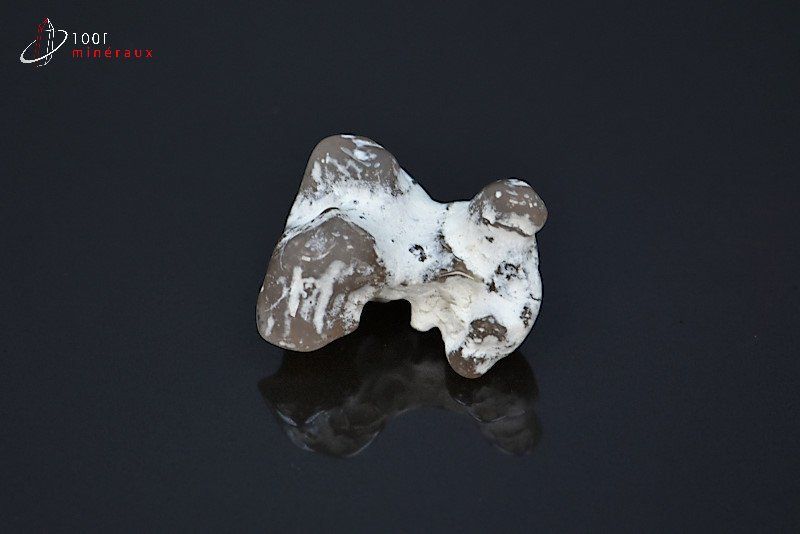 Agate polie peau de serpent - Brésil - pierres polies 2,4 cm / 6g / BA143