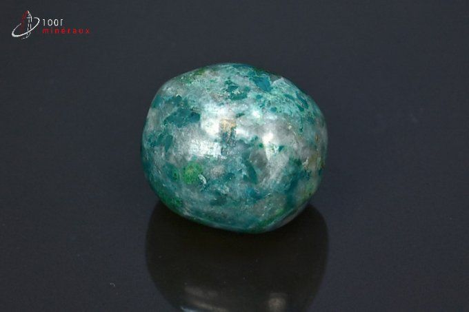 Chrysocolle polie