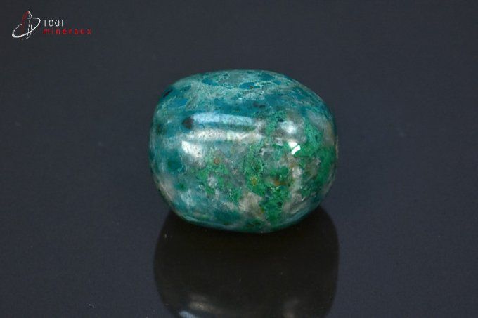 Chrysocolle polie