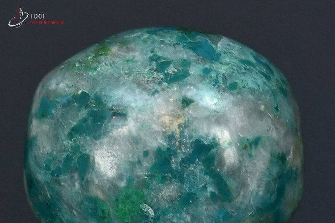 Chrysocolle polie