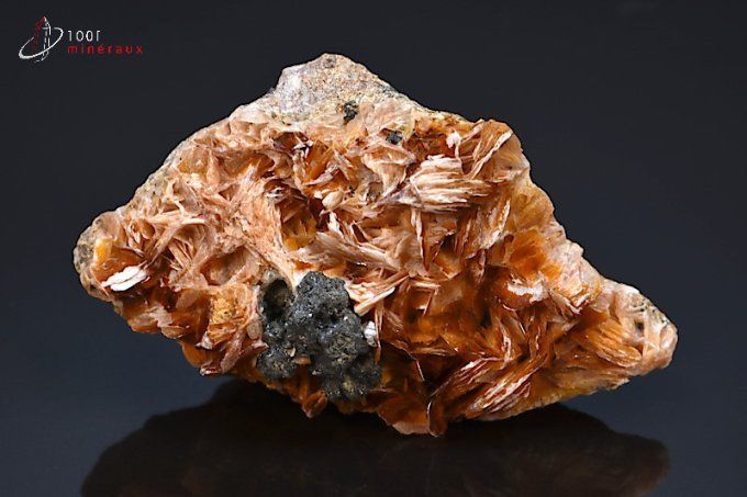 baryte