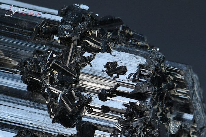 tourmaline noire schorl mineraux