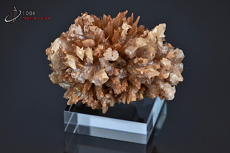 Baryte et Calcite - Maroc - minéraux à cristaux 4,8cm / 64g / BB541