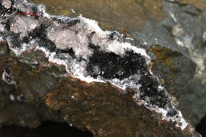 pyrolusite polianite et quartz