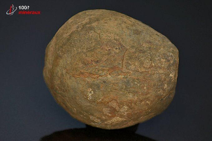 septaria_mineraux