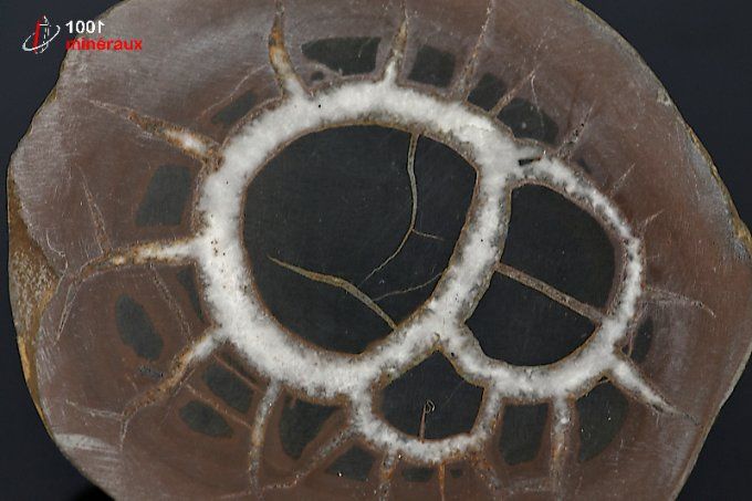 septaria_mineraux