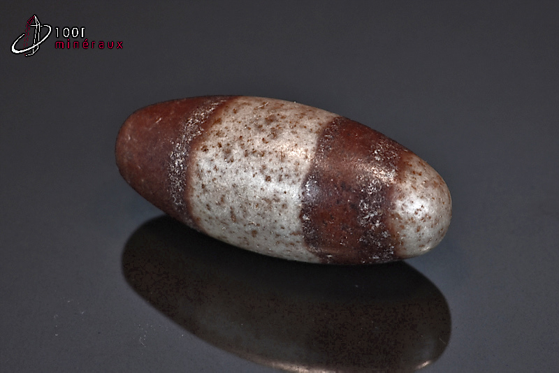 Shiva Lingam poli - Inde - pierres roulées 3,7 cm / 14 g / BC685